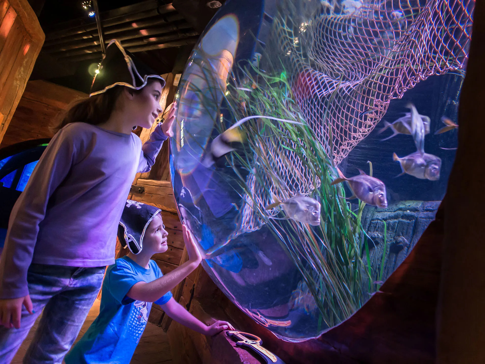 Gardaland SEA LIFE Aquarium - Relitto
