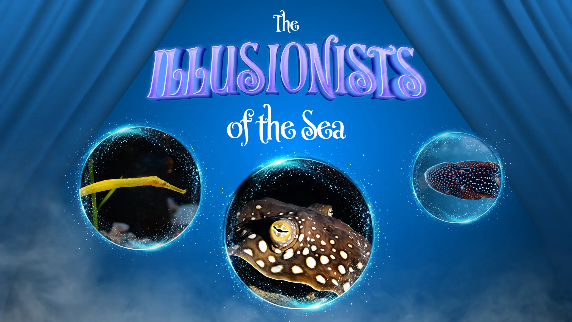 KV SEA LIFE BLACK BOX 1920X1080 UK