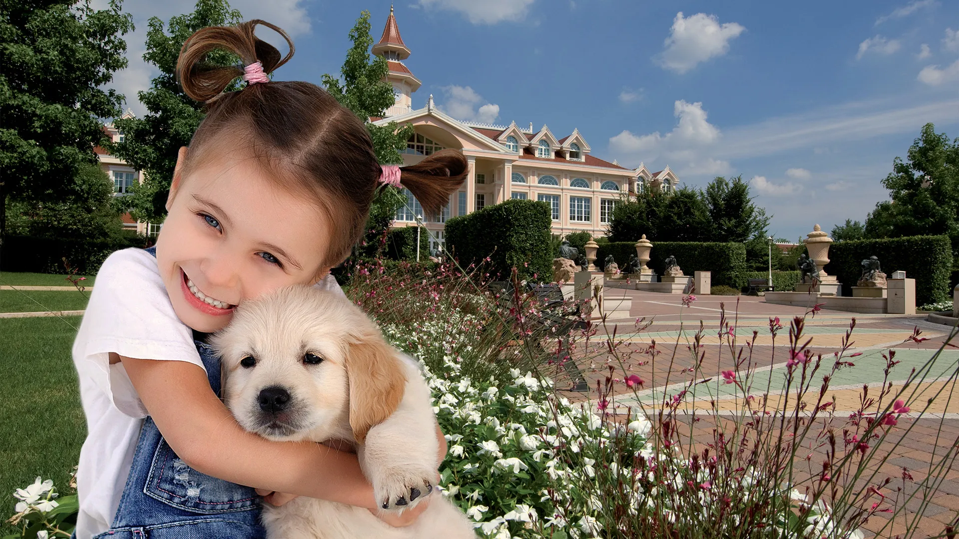 Visual Dog Friendly