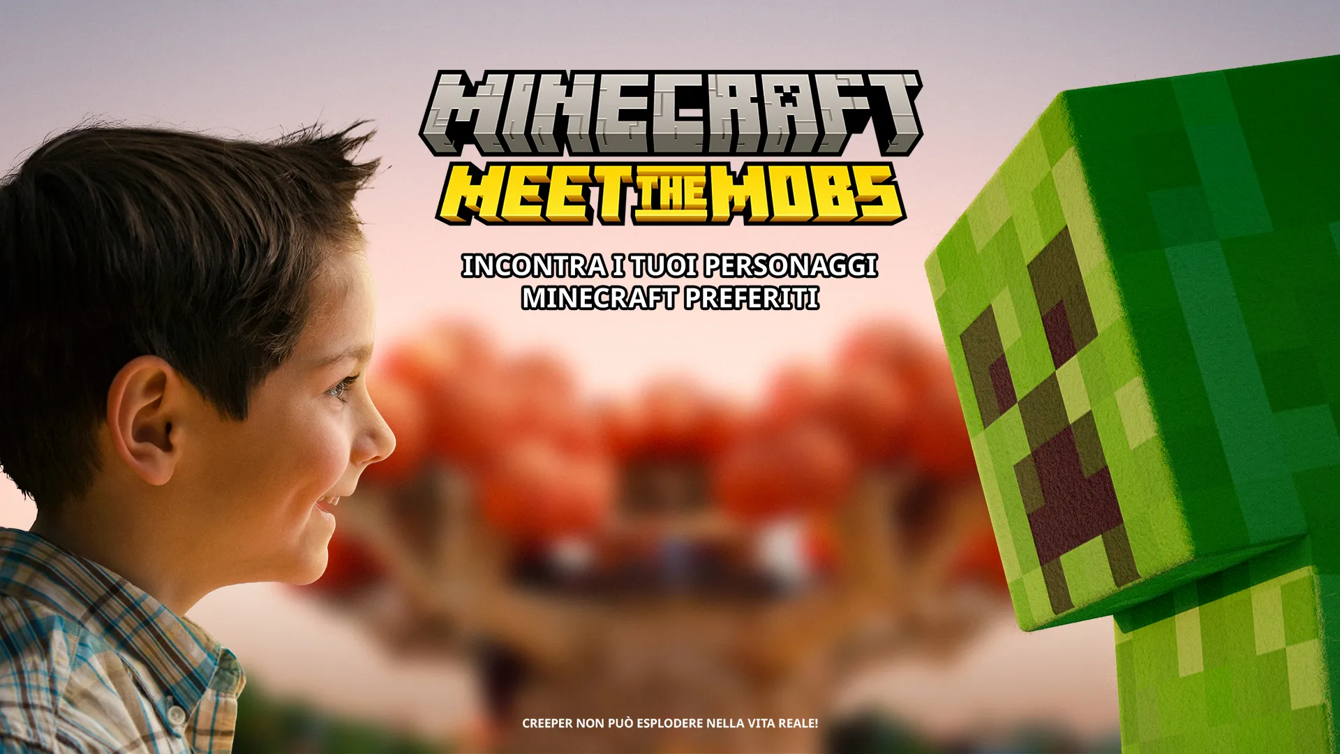 Garda Minecraft Boy 1920X1080 B