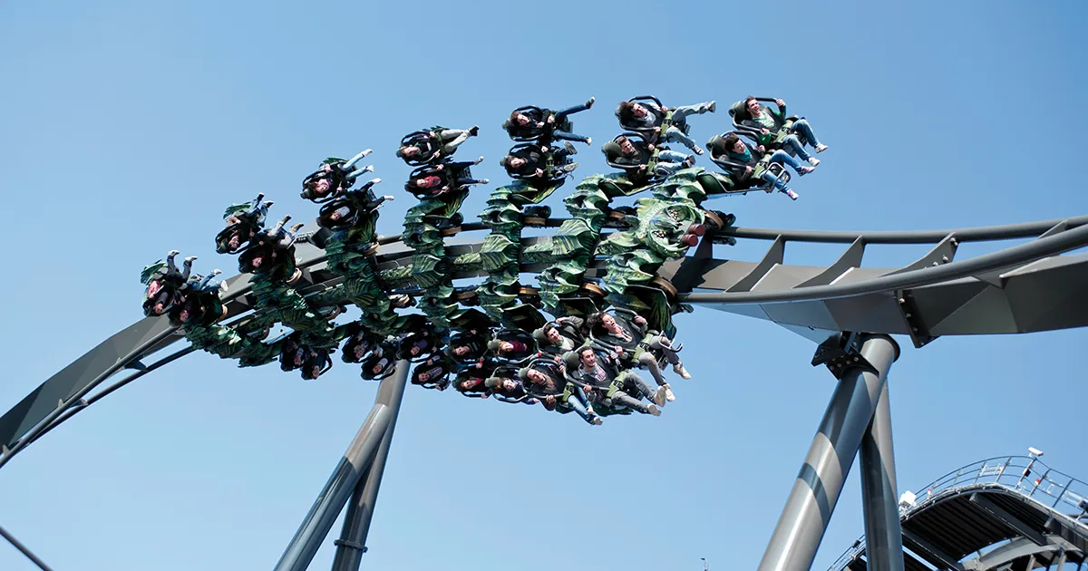 Raptor 005