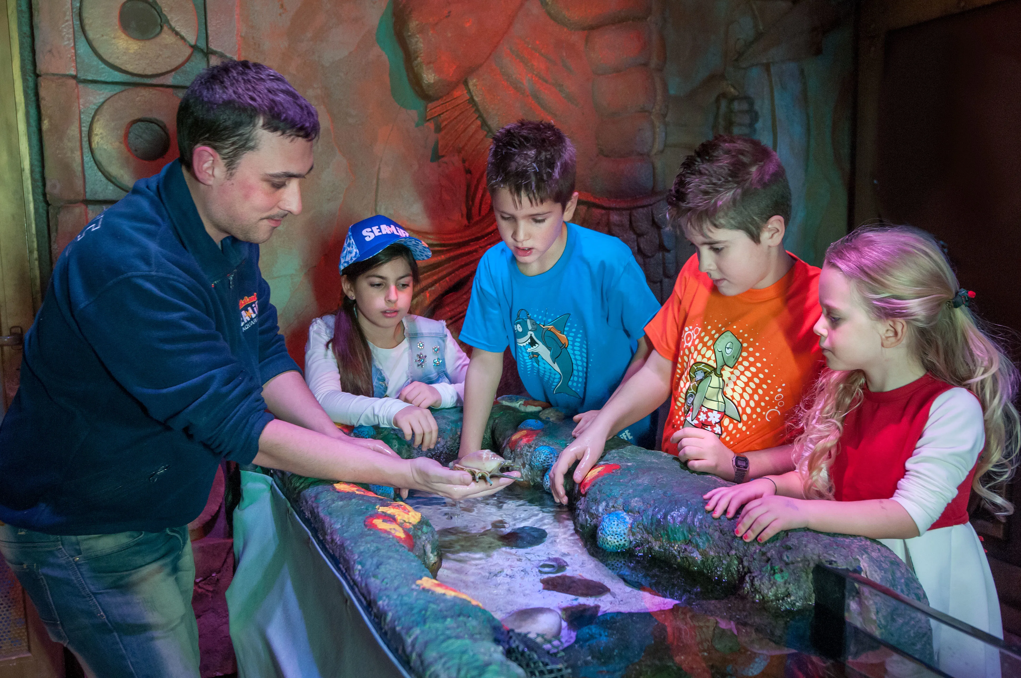 Gardaland SEA LIFE Aquarium - Vasca Tattile