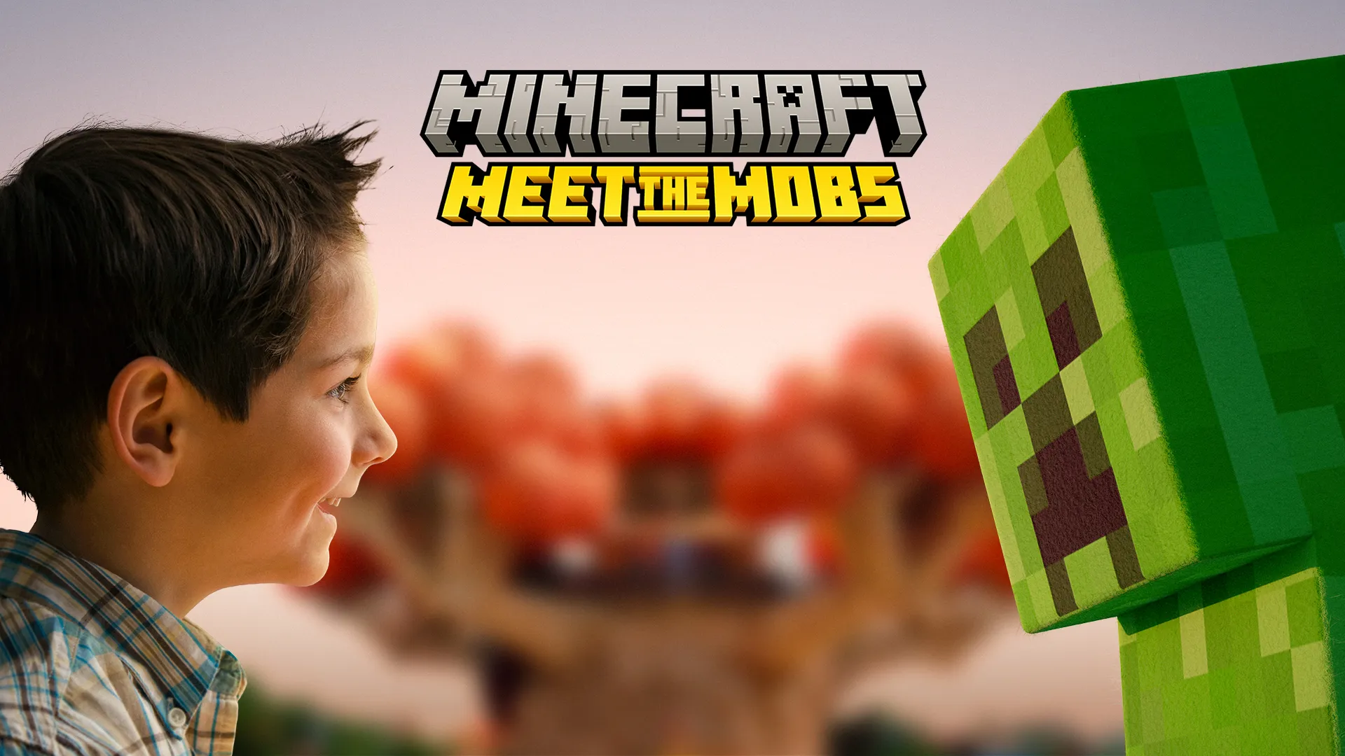 Garda Minecraft Boy 1920X1080 B 2
