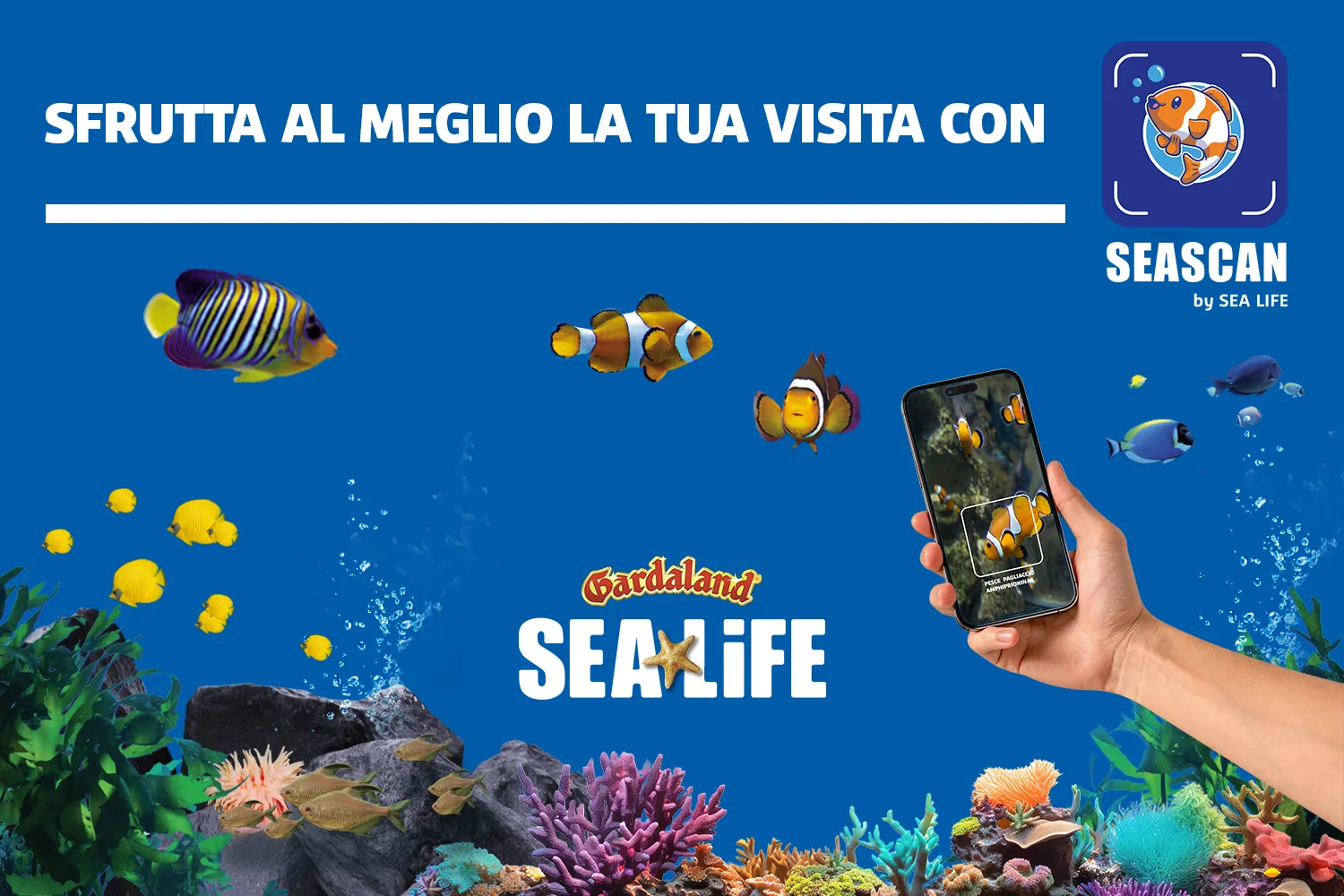 Seascan 1500X1000 IT
