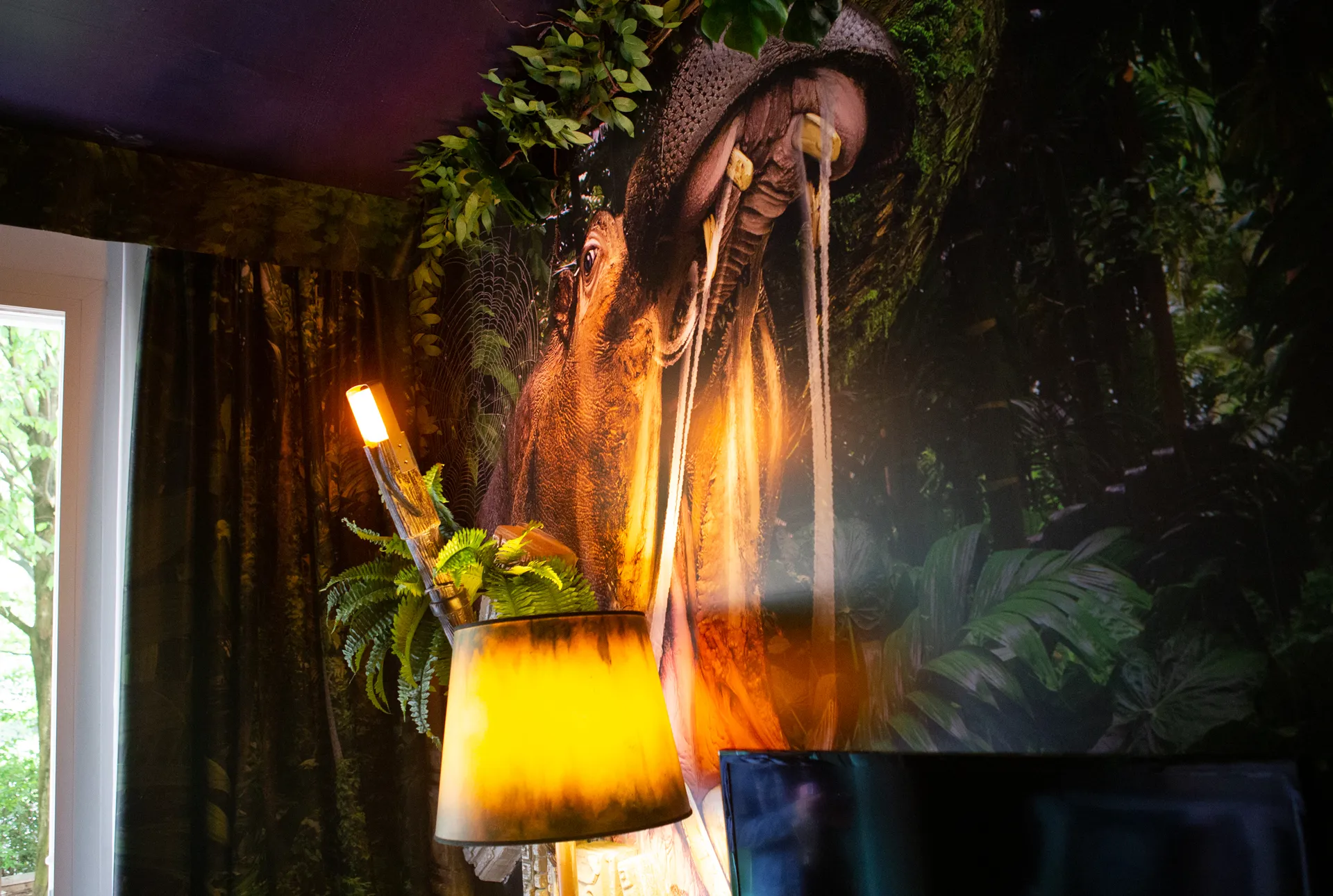 Camera Jumanji Gallery 4
